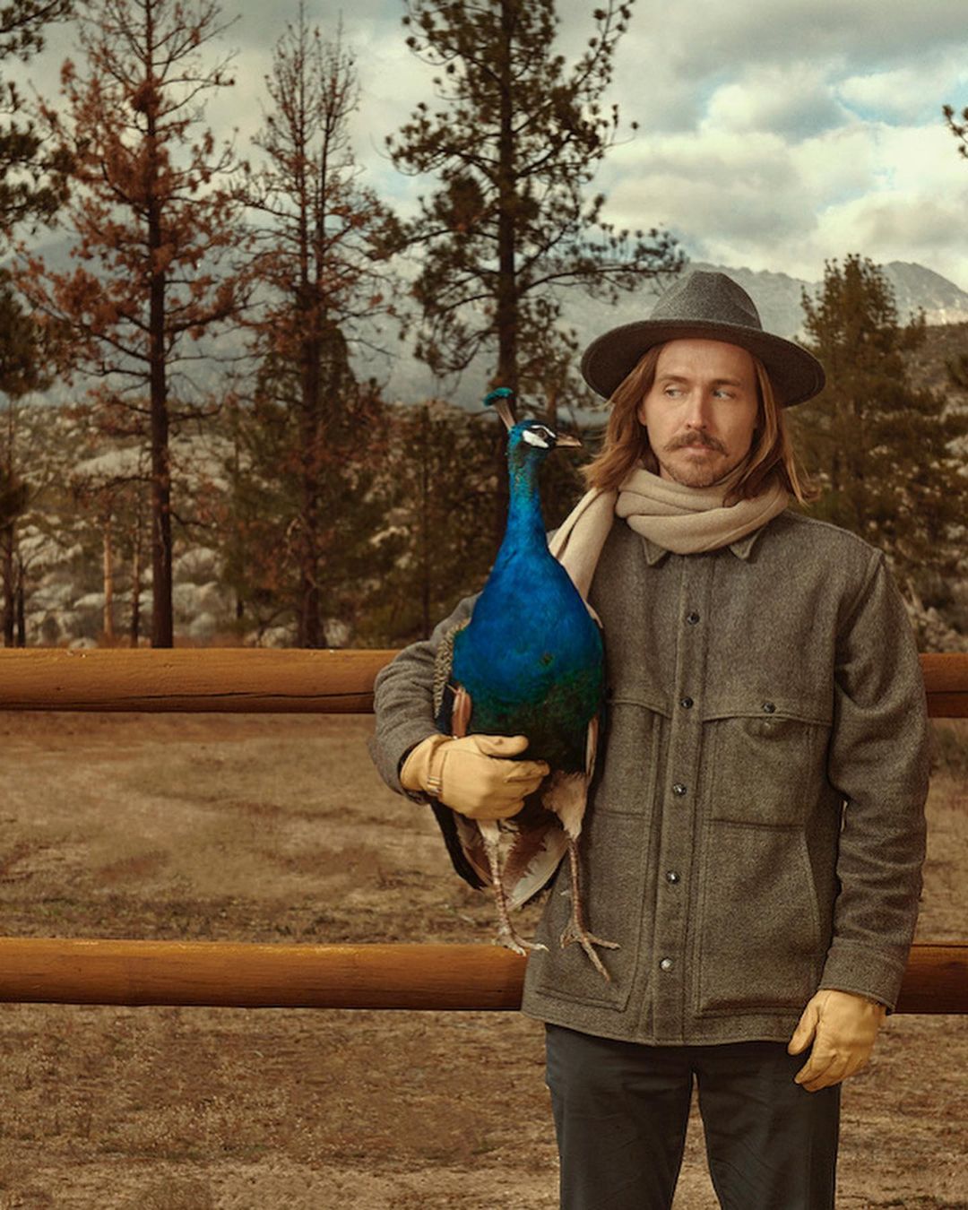 Man in hat and coat holds a peacock in a field with trees and mountains in the background, creating a rural, outdoor portrait.